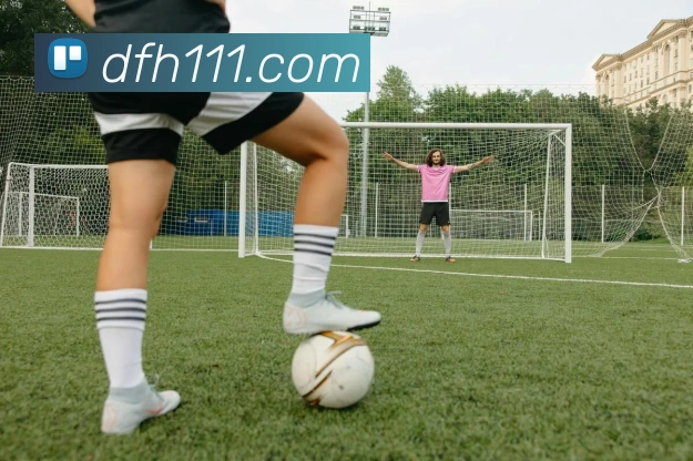 巅峰国际服务体系